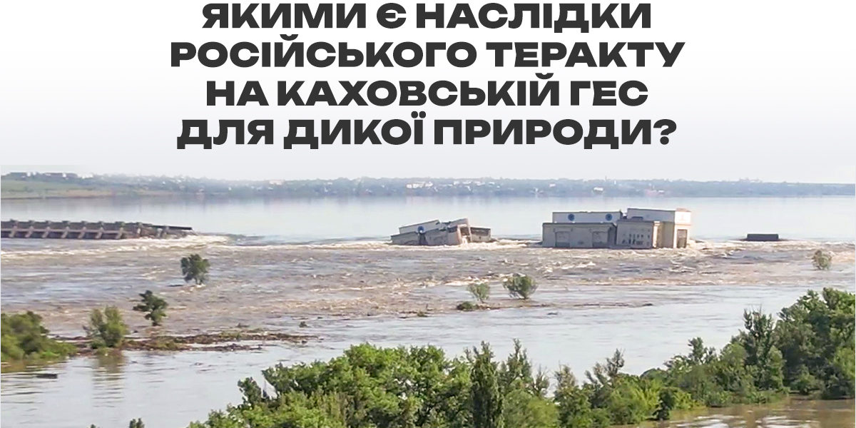Українська природоохоронна група назвала приблизні наслідки російського теракту на Каховській ГЕС для дикої природи