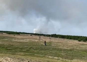 На окупованій Кінбурнській косі на Миколаївщині другу добу вирує лісова пожежа, але гасити її нічим – росіяни вкрали всю спецтехніку (ВІДЕО)