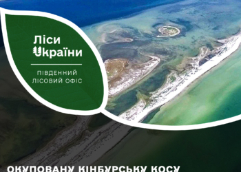 Окуповану Кінбурську косу на Миколаївщині водою відрізано від «материка»