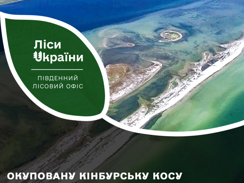 Окуповану Кінбурську косу на Миколаївщині водою відрізано від «материка»