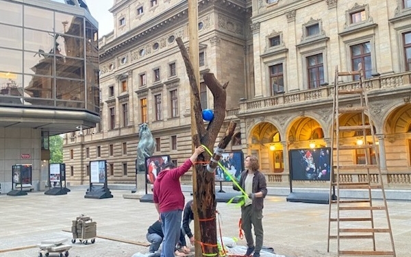 У Празі «виросте» дерево побажань і молитов за Україну