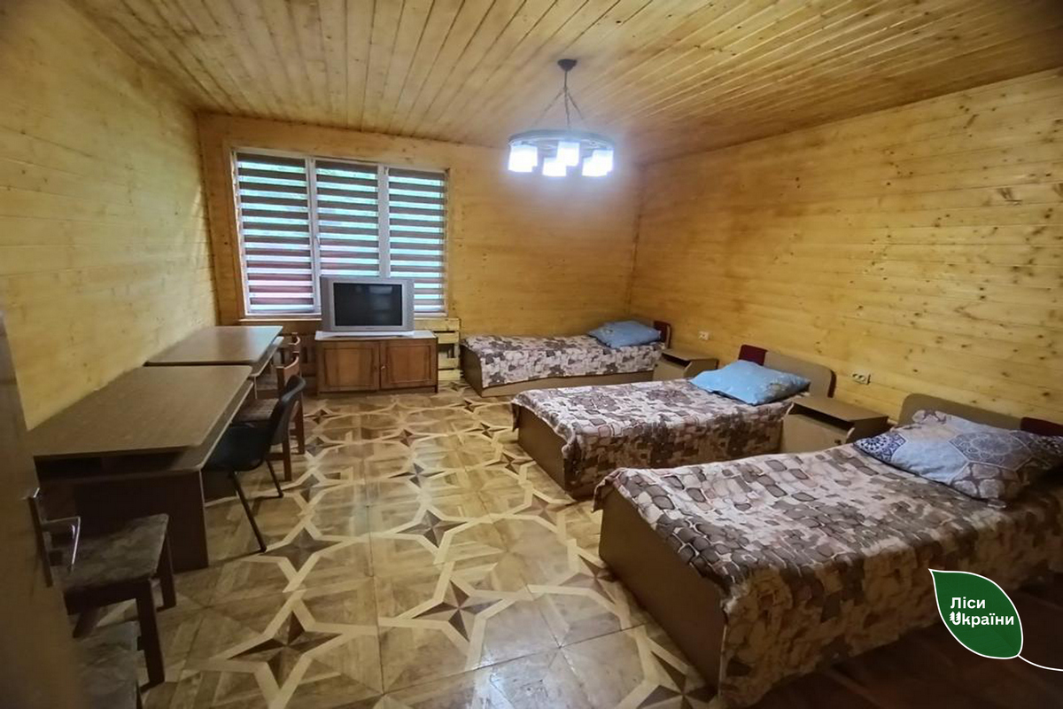 ДП «Ліси України» готові безоплатно розселити 1700 постраждалих від повені (ФОТО)