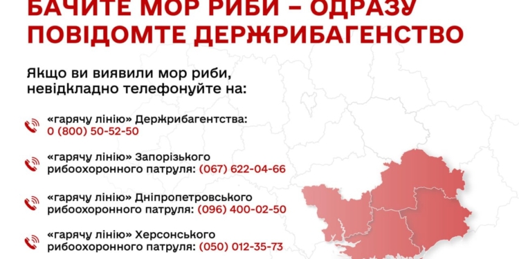 Виявили мор риби – повідомте Держрибагентство!