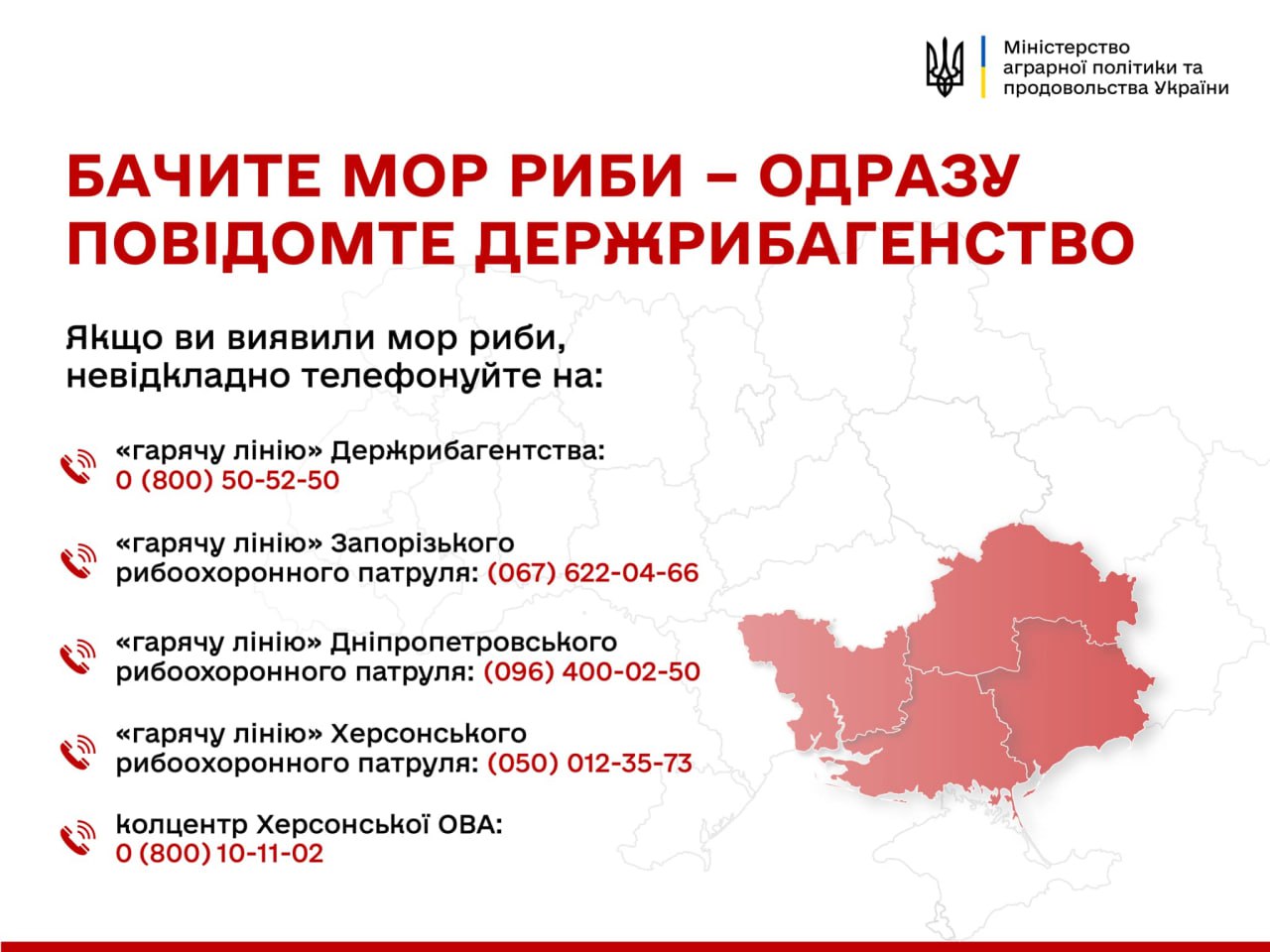 Виявили мор риби – повідомте Держрибагентство!