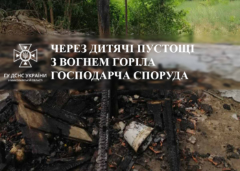 На Миколаївщині через дитячі пустощі горіла госпспоруда