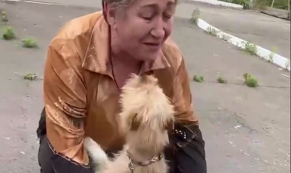 Тузіка жительки Херсонщини врятували миколаївці – зворушлива зустріч хазяйки та чотирилапого (ВІДЕО)