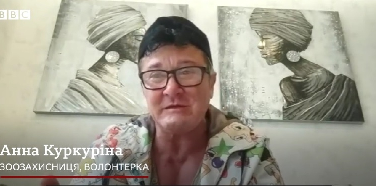 Як Анна Куркуріна з Миколаєва, ексчемпіонка світу з паверліфтингу, рятує тварин на війні (ВІДЕО)