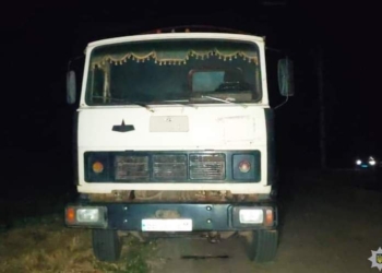 Поліцейські встановлюють очевидців ДТП у Миколаївському районі, в якій загинула літня велосипедистка (ФОТО)