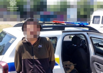 У Миколаєві патрульні затримали чоловіка, який бігав по вулиці з ножем та встиг поранити містянина (ФОТО)