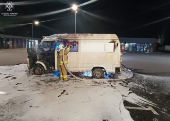 У Криничках та Миколаєві рятувальники гасили палаючі авто