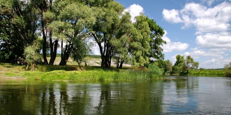 У відкритих водоймах Миколаєва та Снігурівки холерний вібріон не виявлений. Зате виявлено дещо інше