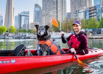 За посаду мера канадського Торонто змагаються 102 людини і один пес