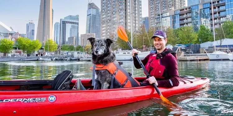 За посаду мера канадського Торонто змагаються 102 людини і один пес