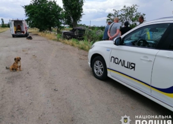 На Миколаївщині – смертельна ДТП: загинув 36-річний водій, його пасажир в лікарні (ФОТО)