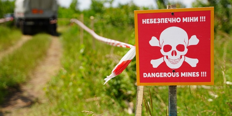 На розмінування лісів Миколаївщини знадобиться 10 років, а на відновлення штучно створених соснових лісів – до півстоліття (ВІДЕО)