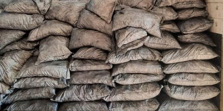 В Лондоні знайшли 1,6 тонни кокаїну у деревному вугіллі – двстати його звідти можна тільки лабораторно (ФОТО)