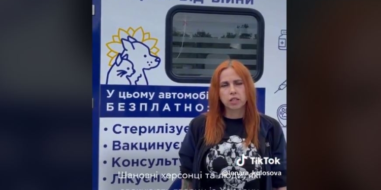 Миколаївські ветеринари безплатно допомагають тваринам підтопленої Херсонщини. Де шукати (ВІДЕО)