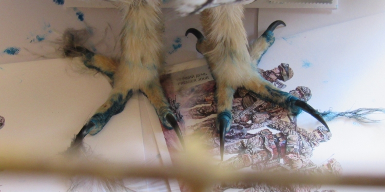 У Миколаєві сова погасила поштові марки, присвячені ГУР (ФОТО)