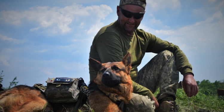 Чотирилапий миколаївський морпіх «Цезарь» – має поранення, але продовжує службу (ФОТО)