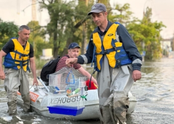 З зони підтоплення на Херсонщині після підриву росіянами Каховської ГЕС вже евакуйовано понад 1,5 тис.людей – ДСНС (ФОТО)