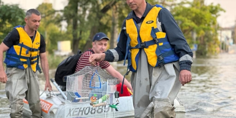 З зони підтоплення на Херсонщині після підриву росіянами Каховської ГЕС вже евакуйовано понад 1,5 тис.людей – ДСНС (ФОТО)