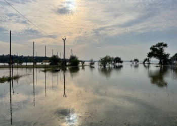 Ще +5 см: в акваторії Миколаєва рівень води піднявся на 82 см, на Намиві укріплюють берег (ФОТО)