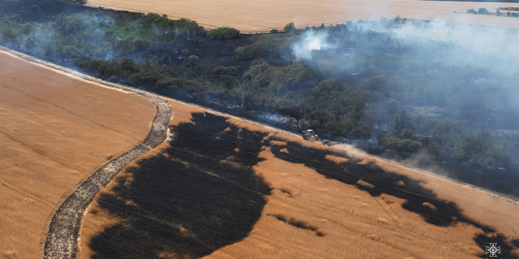 На Миколаївщині загасили пожежу на площі майже 5 га. Але 1 га пшениці, на жаль, вигорів (ФОТО)