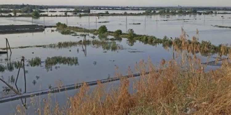 Внаслідок знищення росіянами Каховської ГЕС затоплений єдиний в Україні державний осетровий завод (ФОТО)