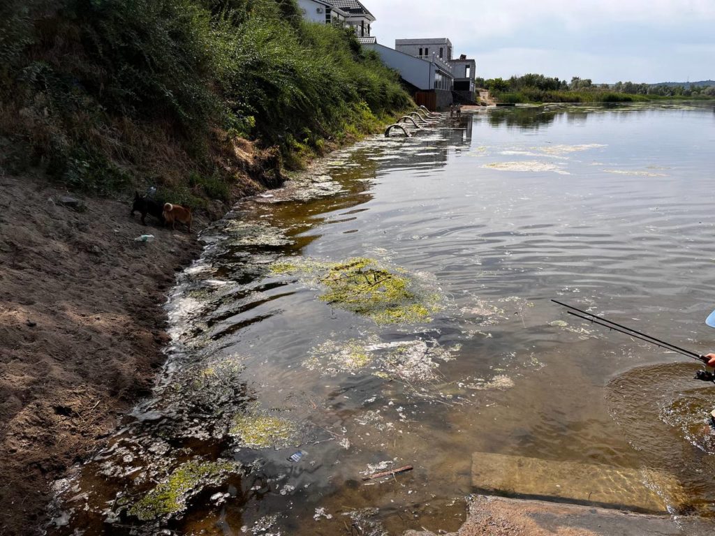 У Вознесенську на Миколаївщині теж піднявся рівень води в двох річках – Південному Бузі і Мертвоводі (ФОТО) 7