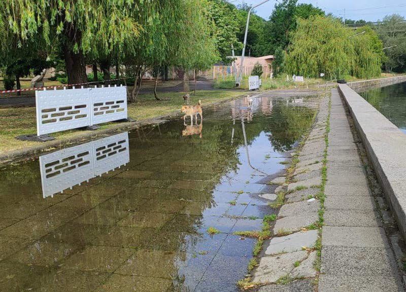 В акваторії Миколаєва рівень води спадає – зараз 100 см