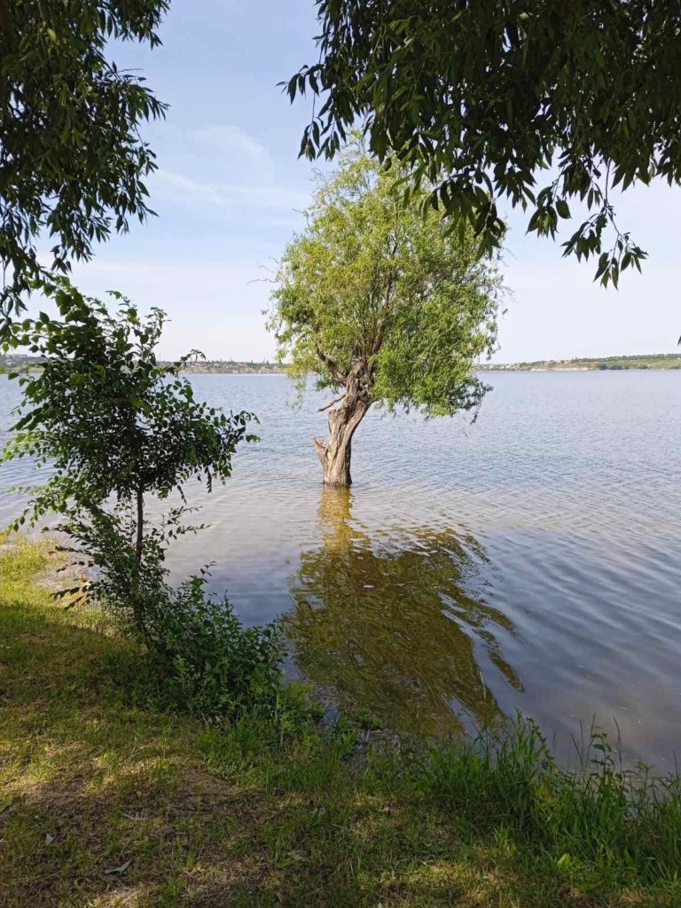 Миколаїв теж трохи підтоплює: містяни діляться в соцмережах фото (ФОТО) 6