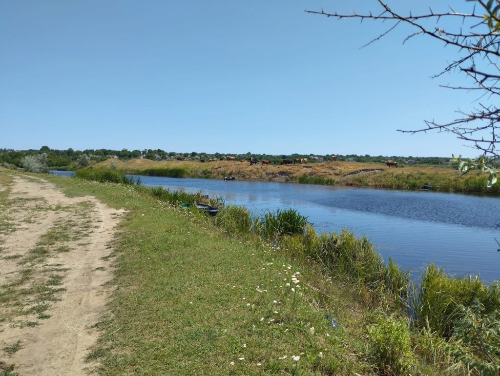 Підтоплення природно-заповідного фонду внаслідок підриву росіянами Каховської ГЕС: на Миколаївщині найбільше постраждала Кінбурнська коса (ФОТО) 16