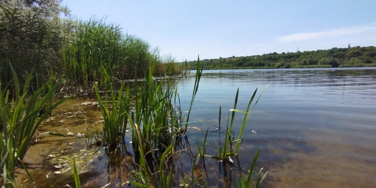 Підтоплення природно-заповідного фонду внаслідок підриву росіянами Каховської ГЕС: на Миколаївщині найбільше постраждала Кінбурнська коса (ФОТО)