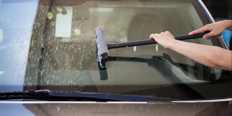 Якщо завтра в дорогу. Як очистити лобове скло від слідів комах