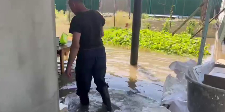 Мешканці Херсонщини кидають домівки – як іде евакуація (ВІДЕО)