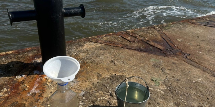 Вода в морі біля Одеси стала пріснішою, зате заліза в ній в 9 разів більше