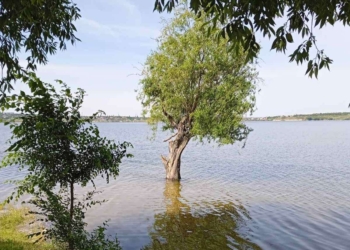 Рівень води в акваторії Миколаєва піднявся ще на 3 см – фахівці притоплять Аляудський міст, щоб його зберегти, – мер