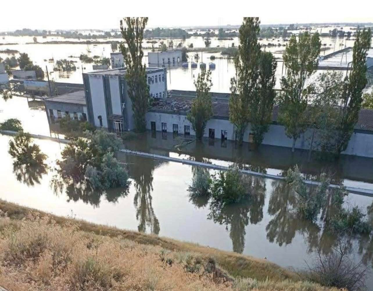 Внаслідок знищення росіянами Каховської ГЕС затоплений єдиний в Україні державний осетровий завод (ФОТО) 