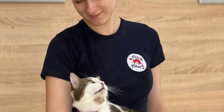 FOUR PAWS знов допоможе КП «Центр захисту тварин» у Миколаєві стерилізувати домашніх улюбленців: як записатись