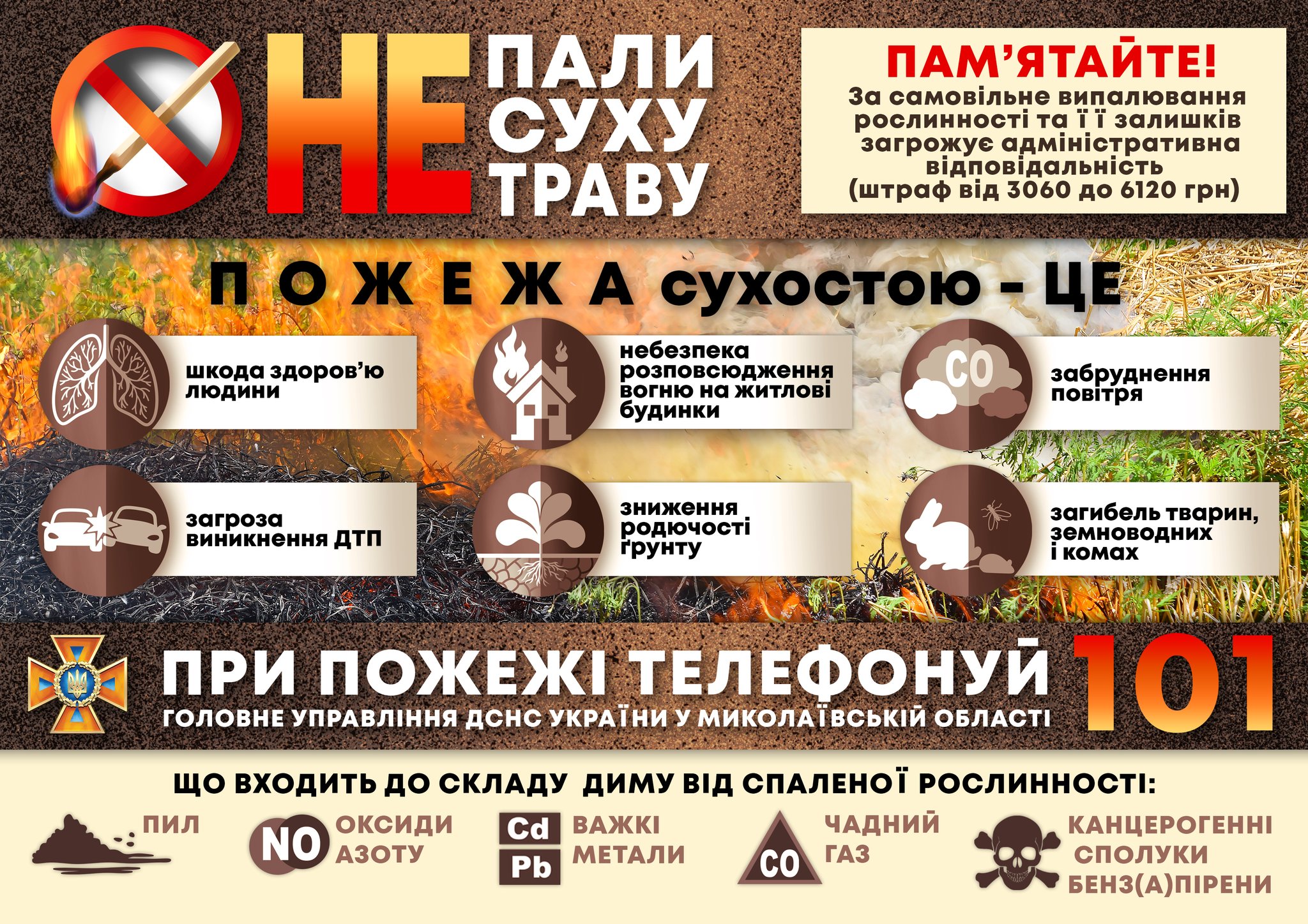 За тиждень на Миколаївщині зареєстровано 126 пожеж на відкритих територіях. І не завжди вони спалахували через необережність – є факти навмисного підпалу