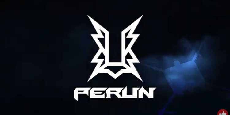 Нардеп показав відео застосування українського ударного дрону Perun (ВІДЕО)