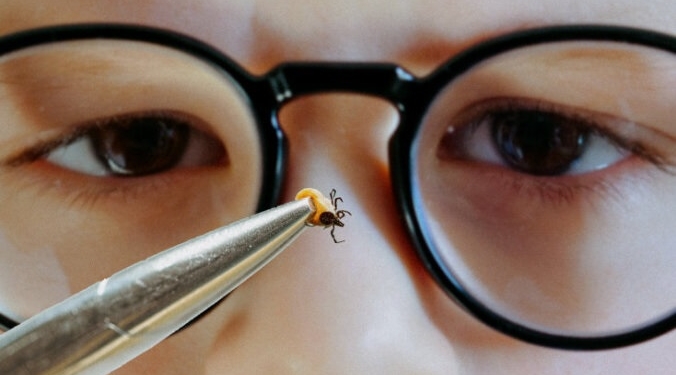 ВООЗ попереджає про новий вірус, що загрожує пандемією, – він переноситься кліщами