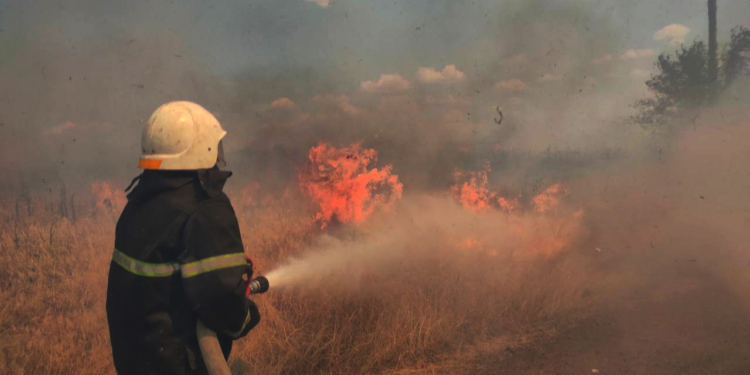 20 пожеж за добу на Миколаївщині: врятовано 9 будинків, 6 господарчих споруд та 40 га пшениці на корені (ФОТО)