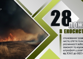 За добу на Миколаївщині було зареєстровано 28 пожеж в екосистемах на 27 га
