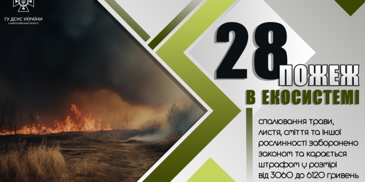За добу на Миколаївщині було зареєстровано 28 пожеж в екосистемах на 27 га