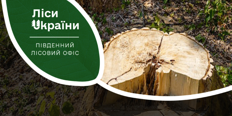На Миколаївщині впіймали працівника лісгоспу з незаконно напиляною деревиною