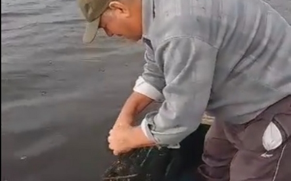 На водоймах Миколаївщини держекоінспектори виявили нічийні раколовки та ятері – тих, хто там був, випустили на волю (ВІДЕО)