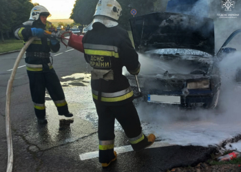 Автівки, житлові будинки, відкриті території і торгівельний павільйон у Миколаєві: що протягом доби гасили вогнеборці Миколаївщини (ФОТО)