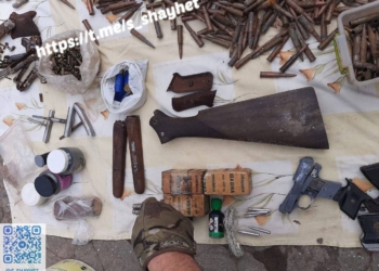 «Нагани», підривачі, магазини до «ТТ», набої: у мешканця Миколаєва вилучили цілий арсенал зброї (ФОТО)