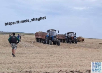 На Миколаївщині двоє людей підірвались на невідомому вибуховому пристрої на полі – один чоловік загинув, іншій в лікарні